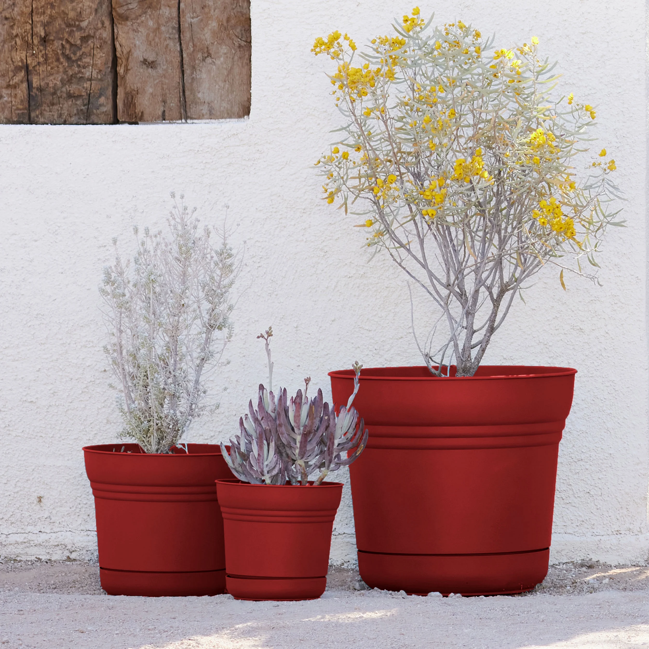 Bloem 7-in Saturn Round Resin Planter with Saucer - Burnt Red