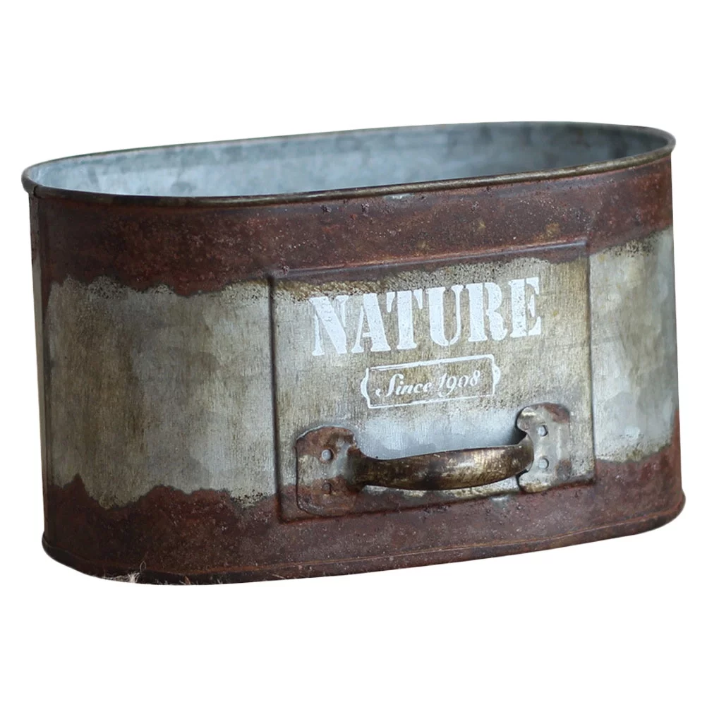 Etereauty Succulent Pot Metal Indoor Planter Farmhousedecorativebucket Flower Bucket French Vintage Floral Rustic Pot Tabletop