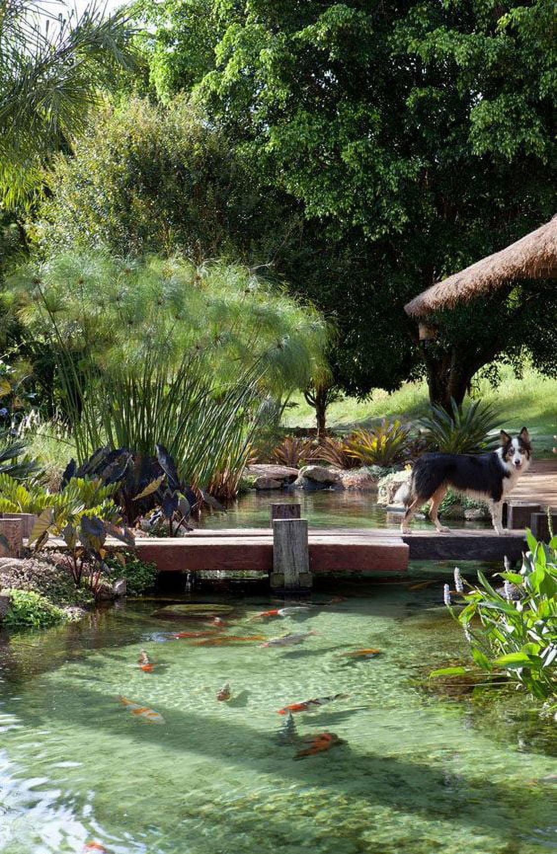 20x35 Pond liner  Spring Sale!!Best fiber,Any size Free Shipping!40+year, HDRPE