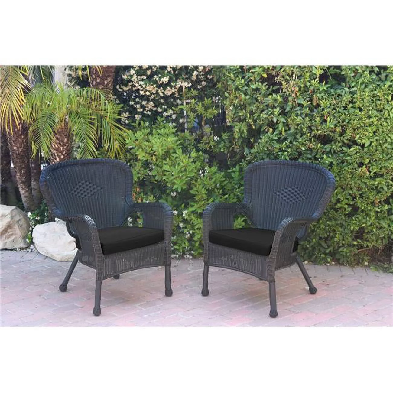 W00214-C-2-FS017 Windsor Black Resin Wicker Chair with Black Cushion - Set of 2