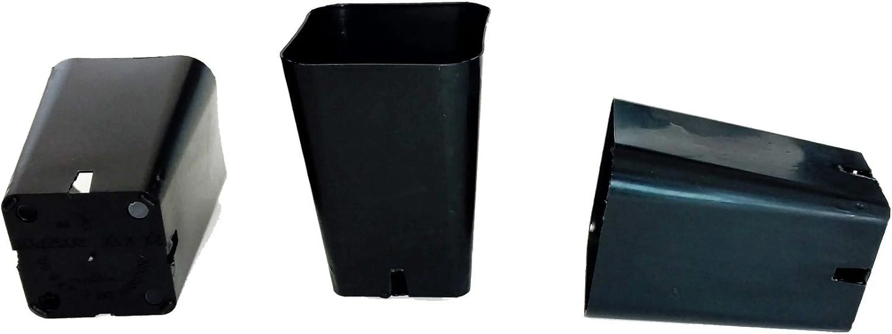 30 Seed Starting - 2 1/4