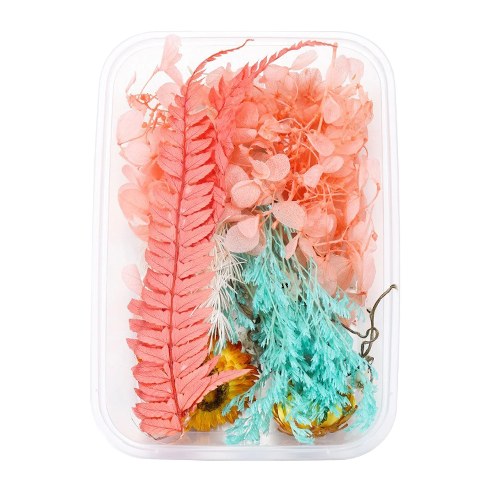 Artificial Flowers for Outdoors/Indoor 1 Box Real Dried Flower Resin FilExpoxy Flower For Epoxy Resin Jewelry Making Craft DIY Supplies Accessories (Forget Me Not)