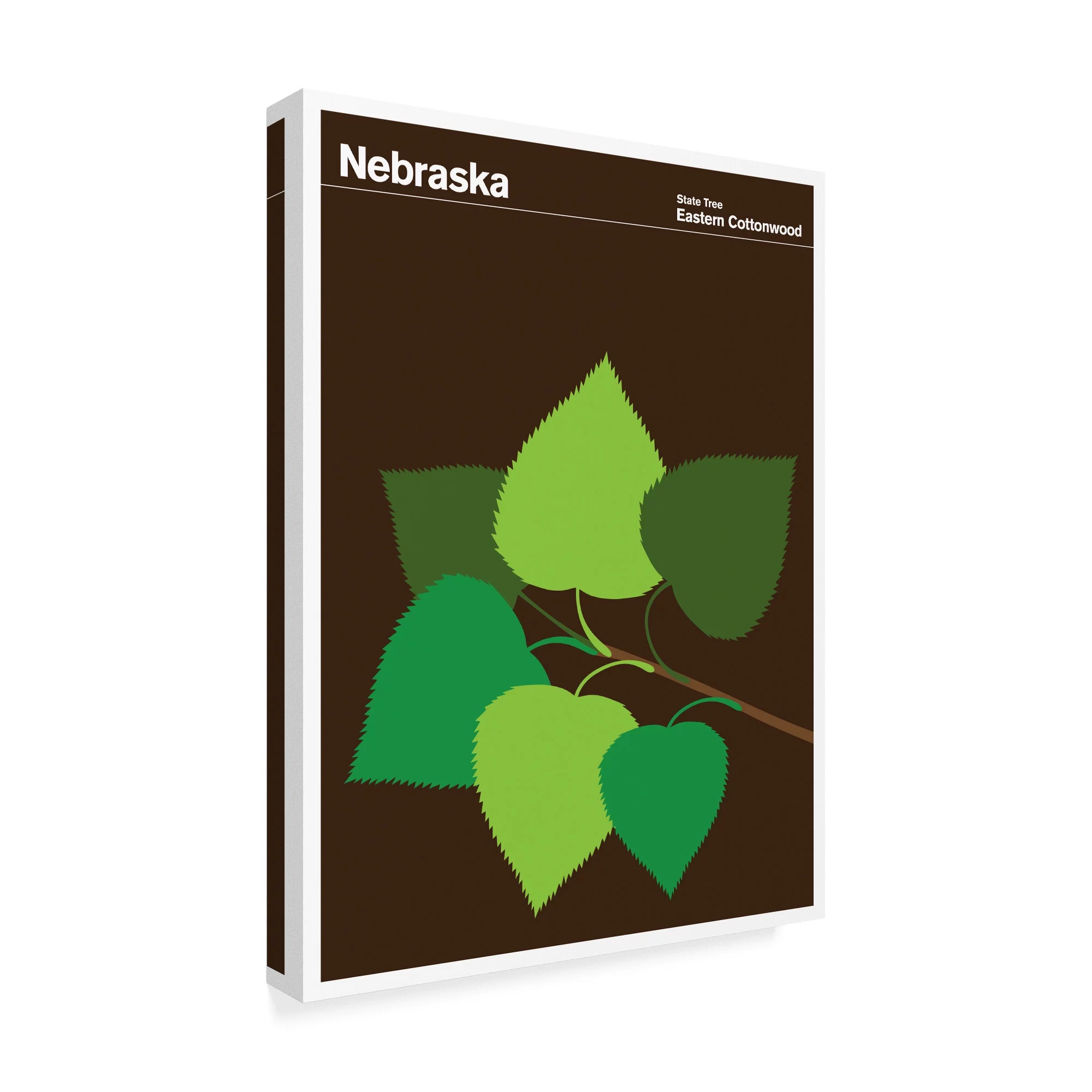 Trademark Fine Art 'Nebraska Eastern Cottonwood' Canvas Art by Print Collection - Artist