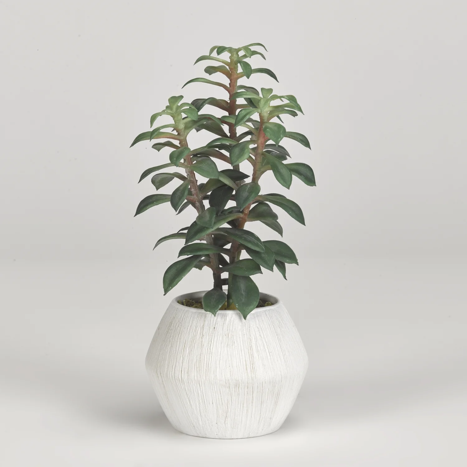D&W Silks Tree Succulents in White Ceramic Planter