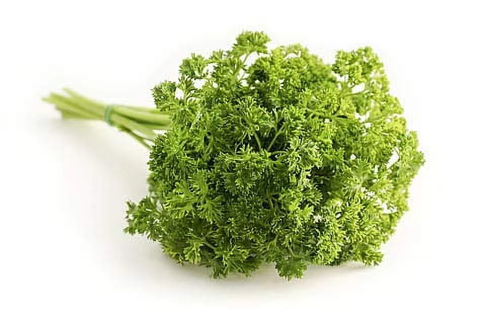 Triple Curled Parsley Seeds, 250 Heirloom Seeds Per Packet, Non GMO Seeds