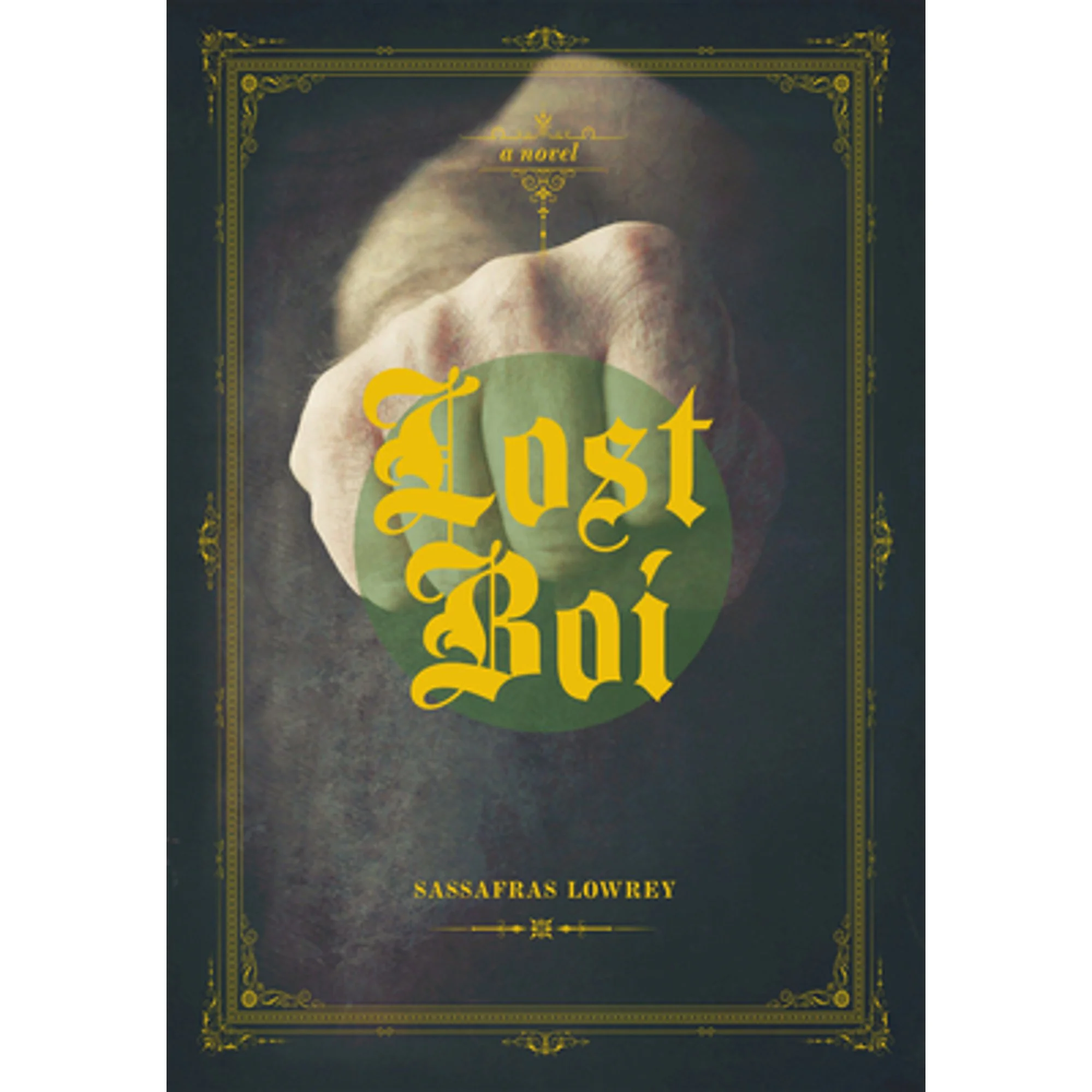 Pre-Owned Lost Boi (Paperback 9781551525815) by Sassafras Lowrey