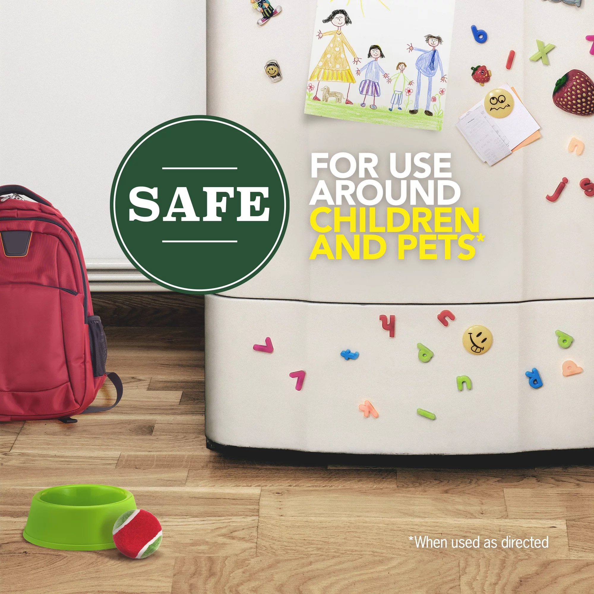 Raid Ant and Roach Killer, 11 OZ (Pack -12)