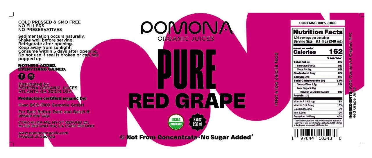 Pomona Organic Juices Pure Grape Juice, 8.4 Ounce Bottle (Pack of 12), Cold Pressed Organic Juice, Non-GMO, No Sugar Added, Not from Concentrate, Gluten Free, Kosher Certified, Preservative Free
