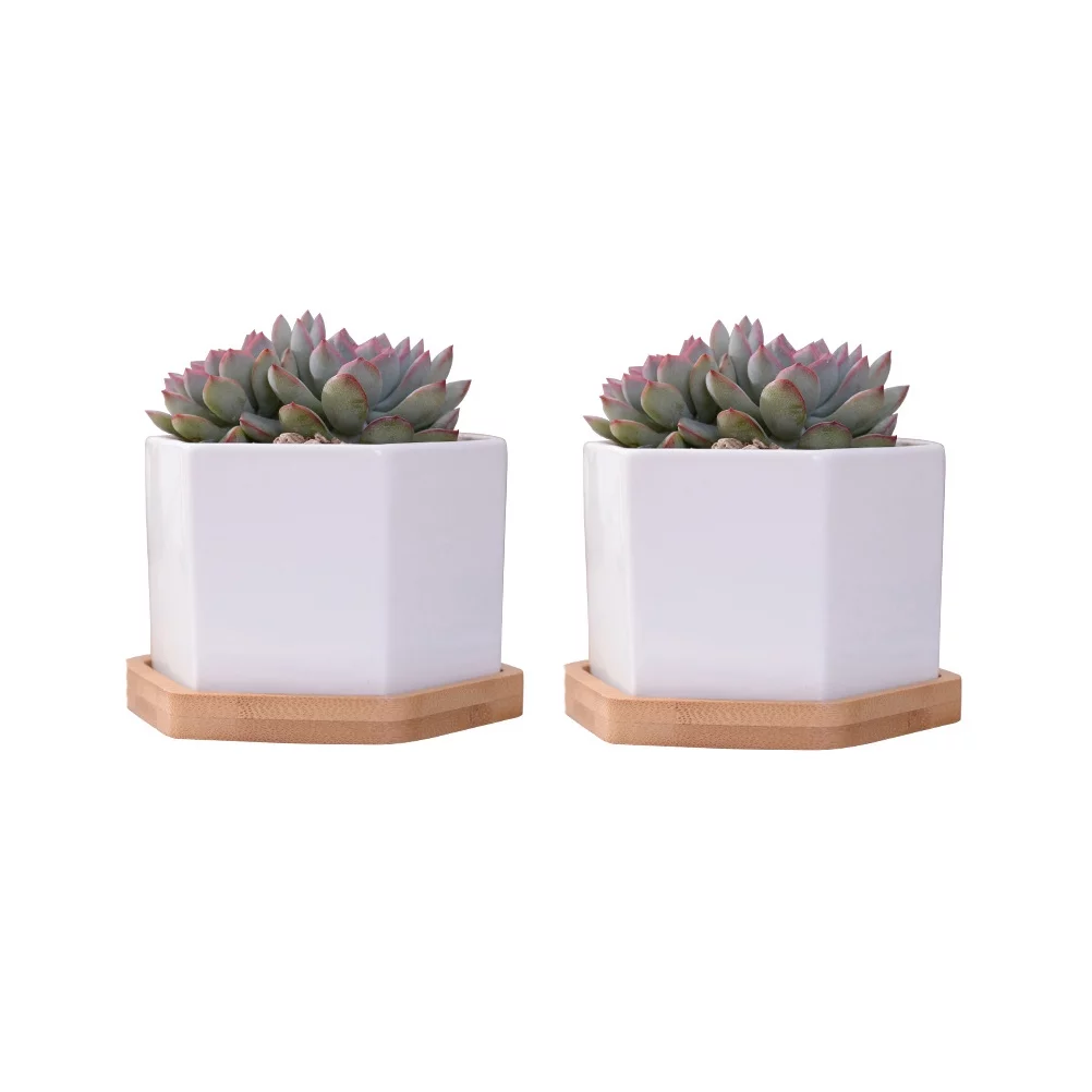 2 Sets Ceramic Hexagonal Succulent Containers Plant Pot Cactus Planter Pot with Bamboo Tray