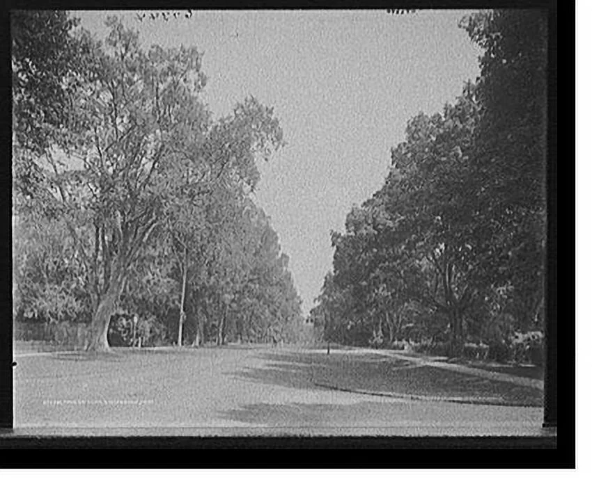 Historic Framed Print, Main St., elms, Stockbridge, Mass., 17-7/8