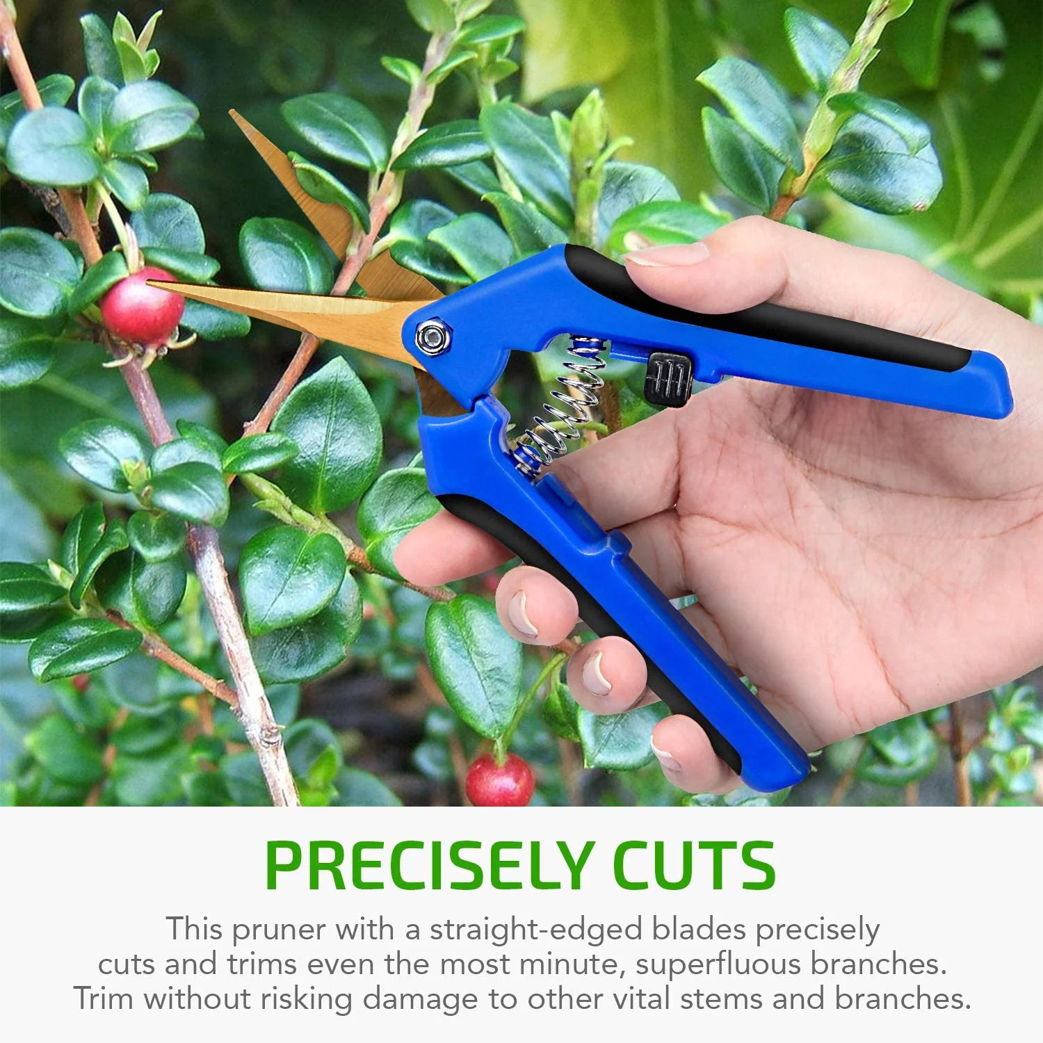 iPower 3-Pack 6.5 inch Gardening Scissors Hand Pruner Pruning Shear Curved Precision Blades