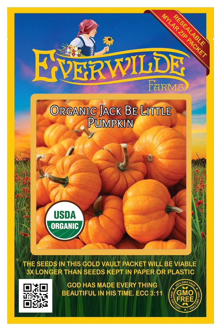 Everwilde Farms - 10 Organic Jack Be Little Pumpkin Seeds - Gold Vault Jumbo Bulk Seed Packet