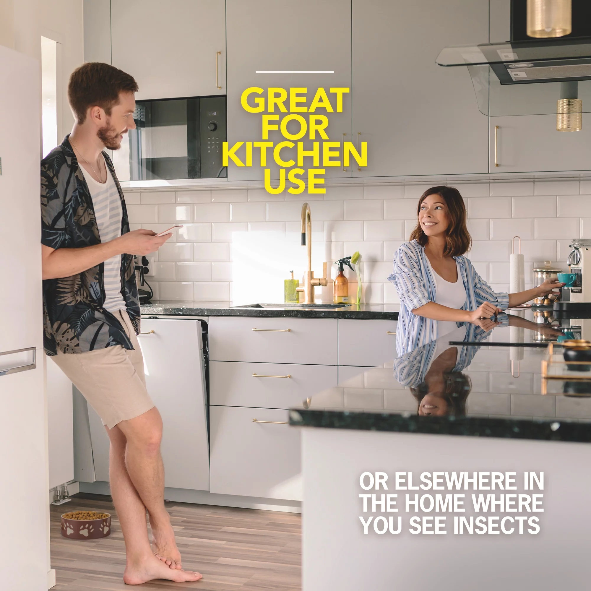 Raid Ant and Roach Killer, 11 OZ (Pack -12)