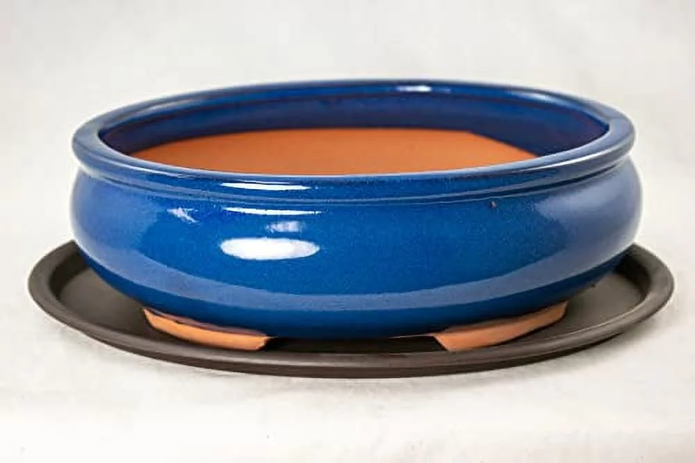 Oval Bonsai / Cactus & Succulent Pot + Tray + Mesh, Dark Blue, 10 x 7.5 x 3.25 Inches