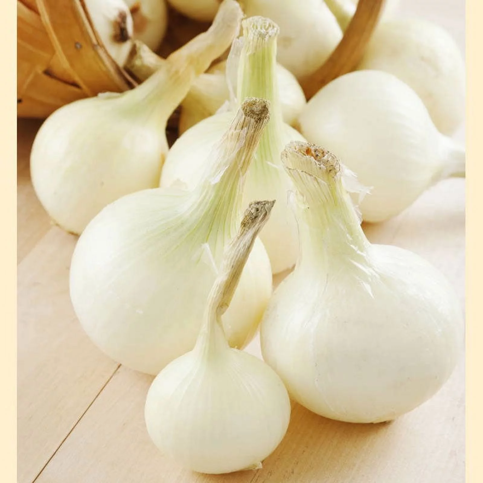 Onion Seeds (Long Day) - Southport White Globe - 1 Pound -  Vegetable Seeds,  Heirloom Seed  Root Vegetable, Container Garden