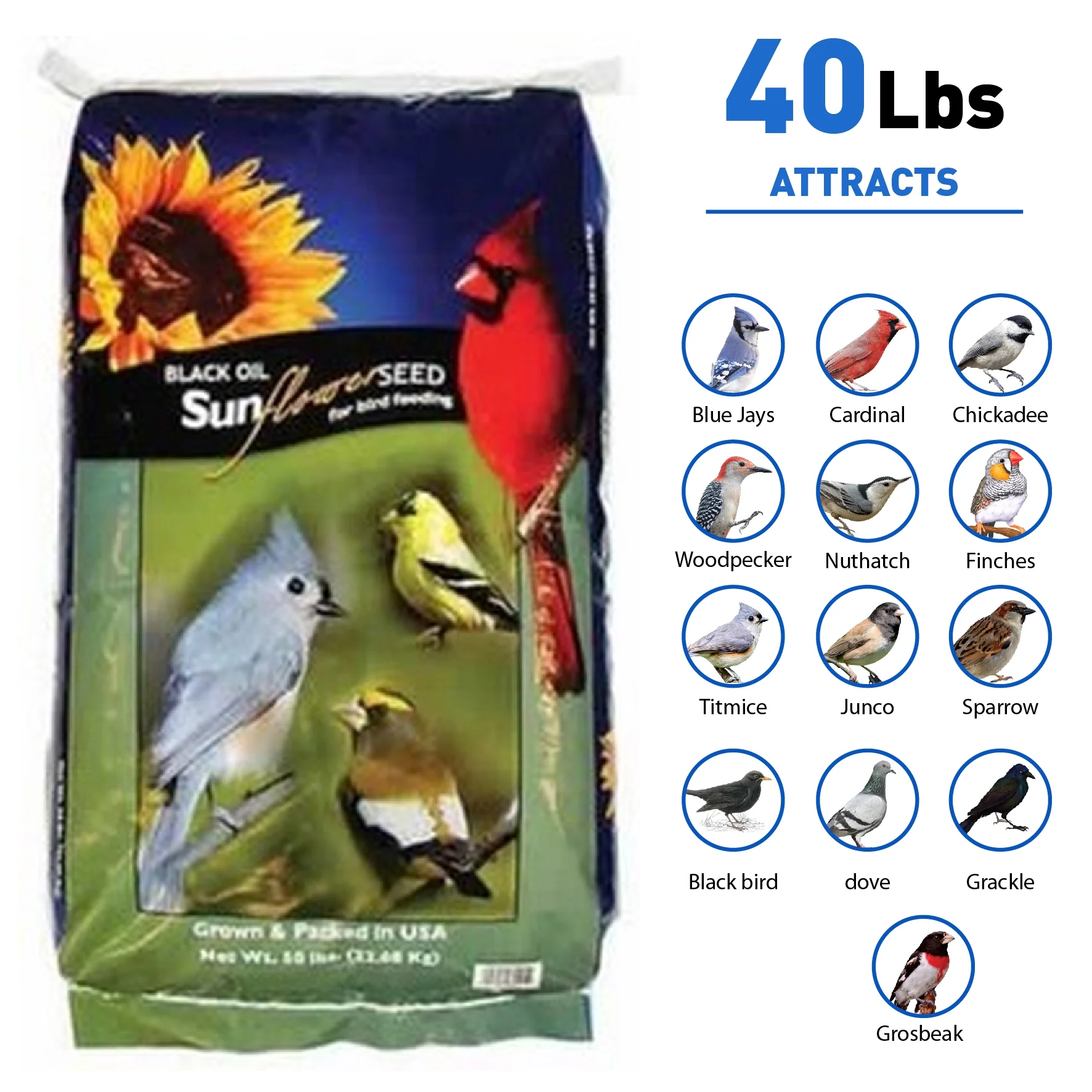 Black Oil Sunflower Seed - 40 Pounds