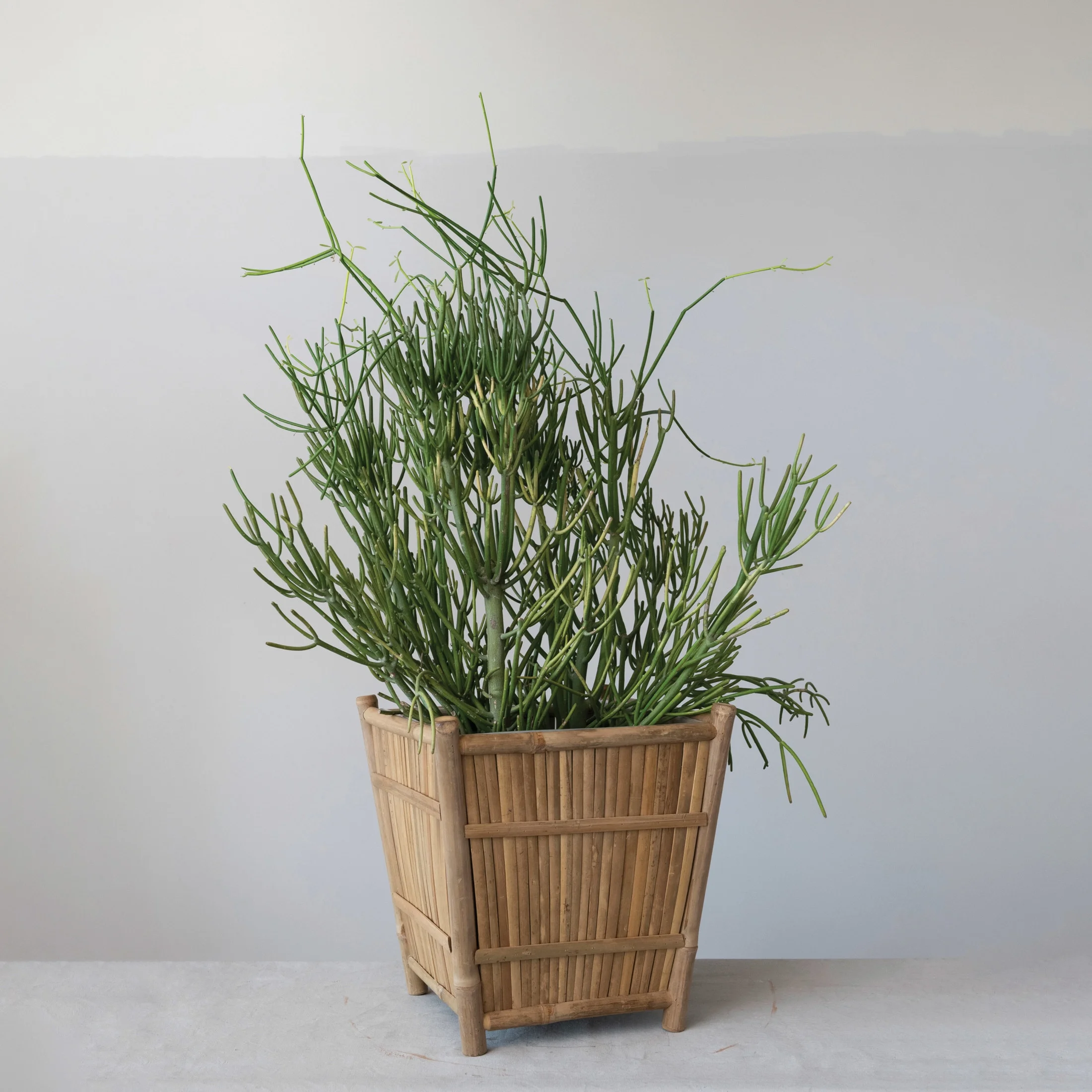 Creative Co-Op Creative Co-Op Handmade Bamboo Footed Planter with Plastic Liner, Natural