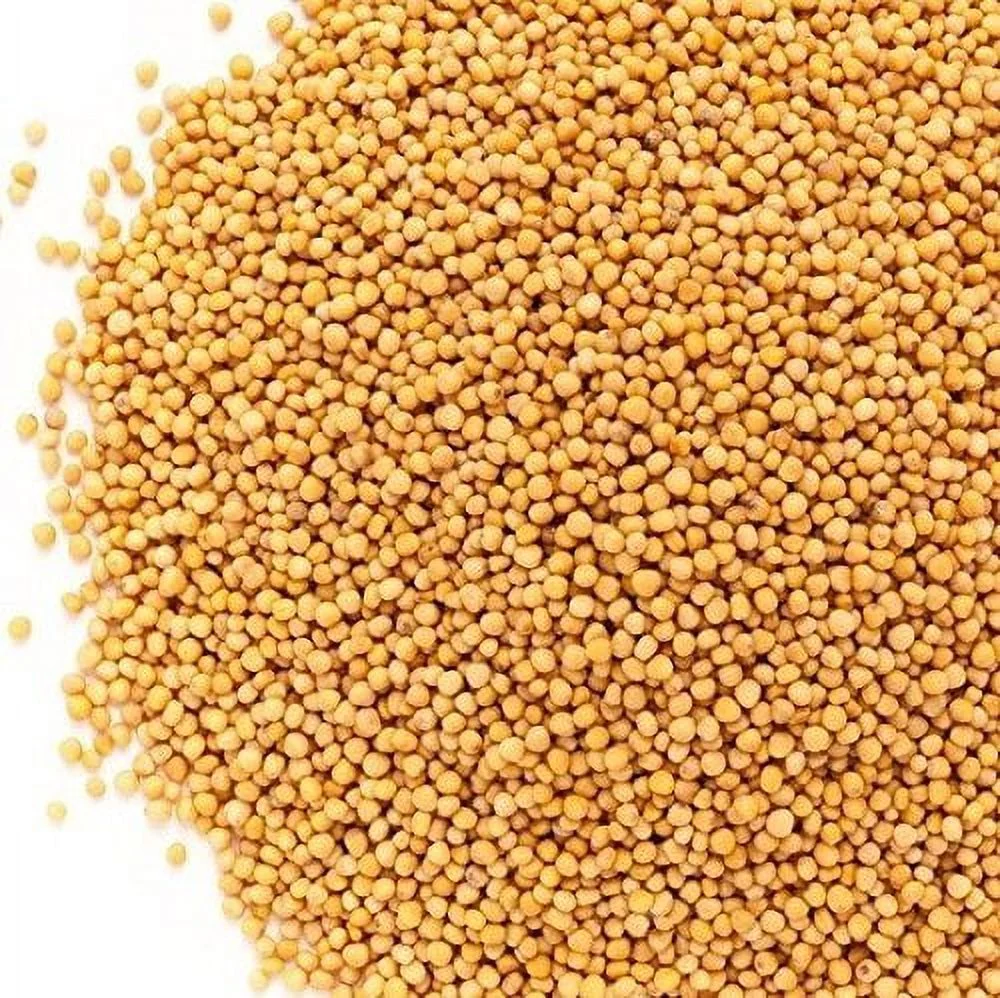 Whole Yellow Mustard Seeds All Natural by Its Delish, 2 lbs Bulk Bag