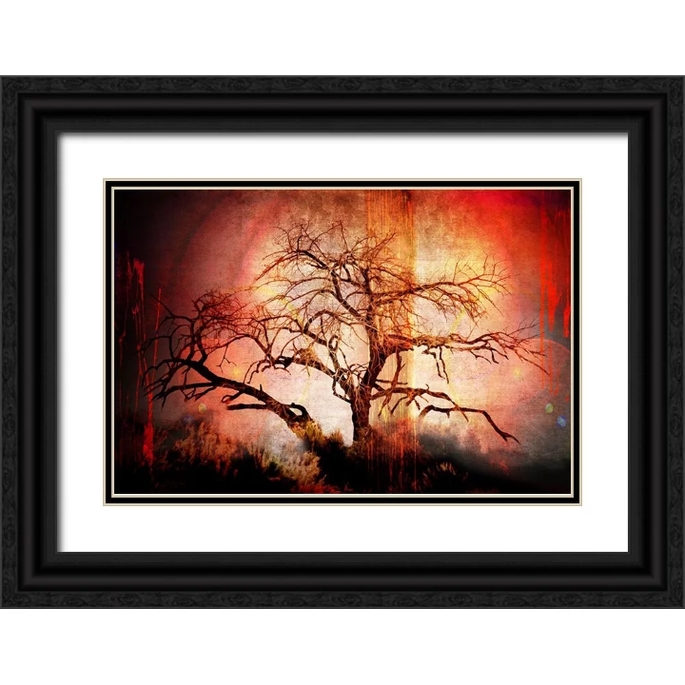 LightBoxJournal 14x11 Black Ornate Wood Framed with Double Matting Museum Art Print Titled - Cottonwood Tree Part 10