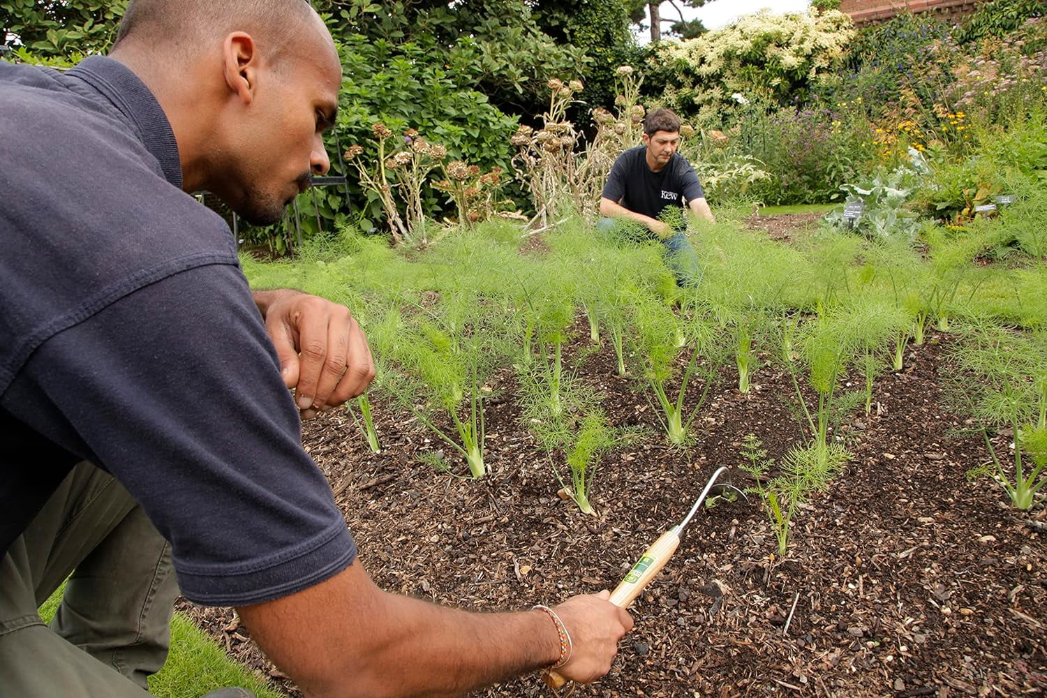 Kew Gardens 3110KEW Stainless Steel Onion With Handle, Blue, 12-Inch