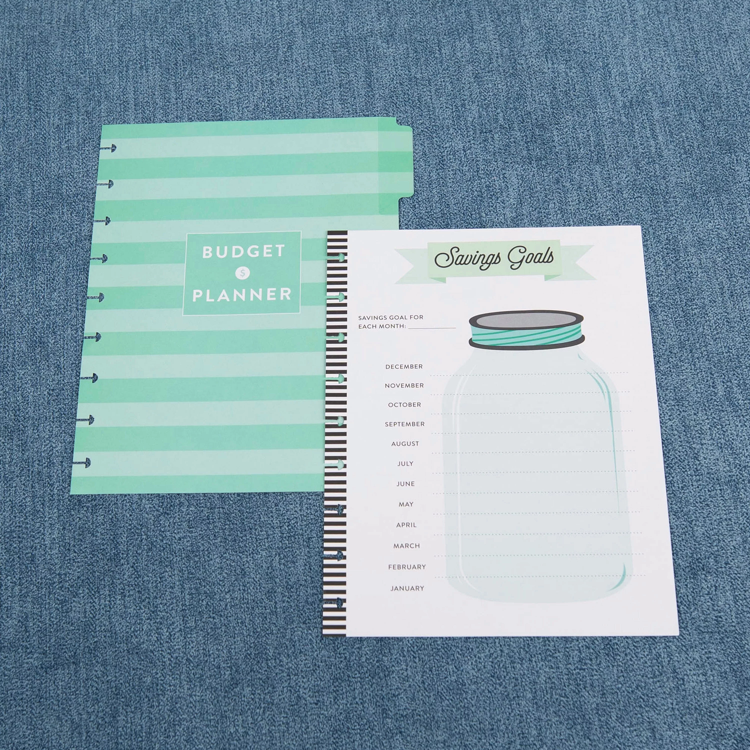 The Happy Planner - CLASSIC Budget Extension Pack