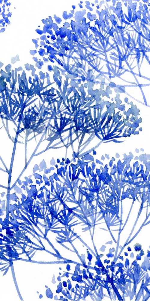 Wang, Melissa 14x24 Black Ornate Wood Framed with Double Matting Museum Art Print Titled - Little Sapling I