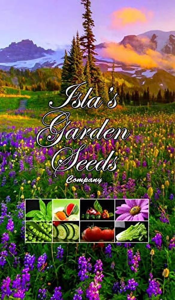 California Purple Gleam Poppy Flower Seeds, 1000 Heirloom Seeds Per Packet, Non GMO Seeds