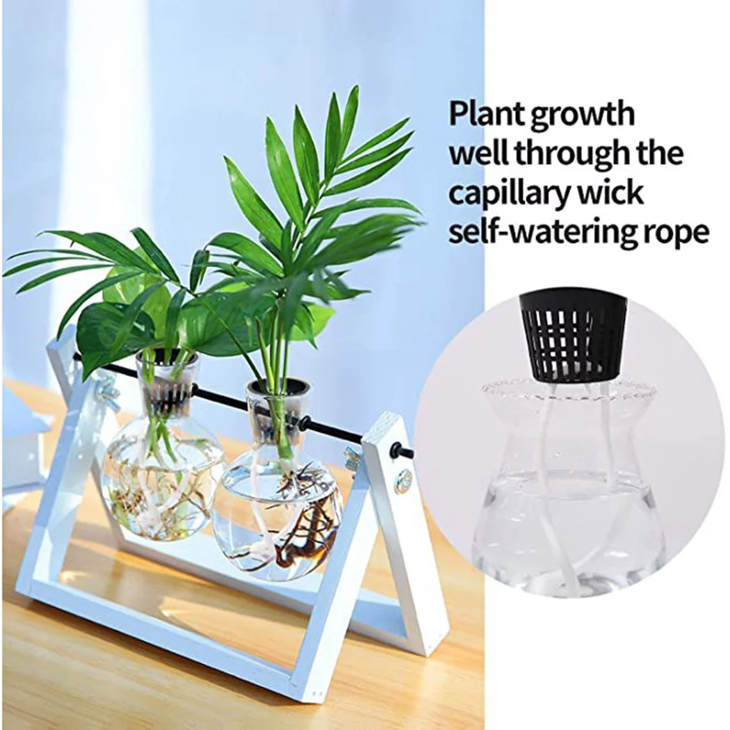 25 Pcs Hydroponic Pot Net Cup Hydroponic Containers Garden Plant Basket