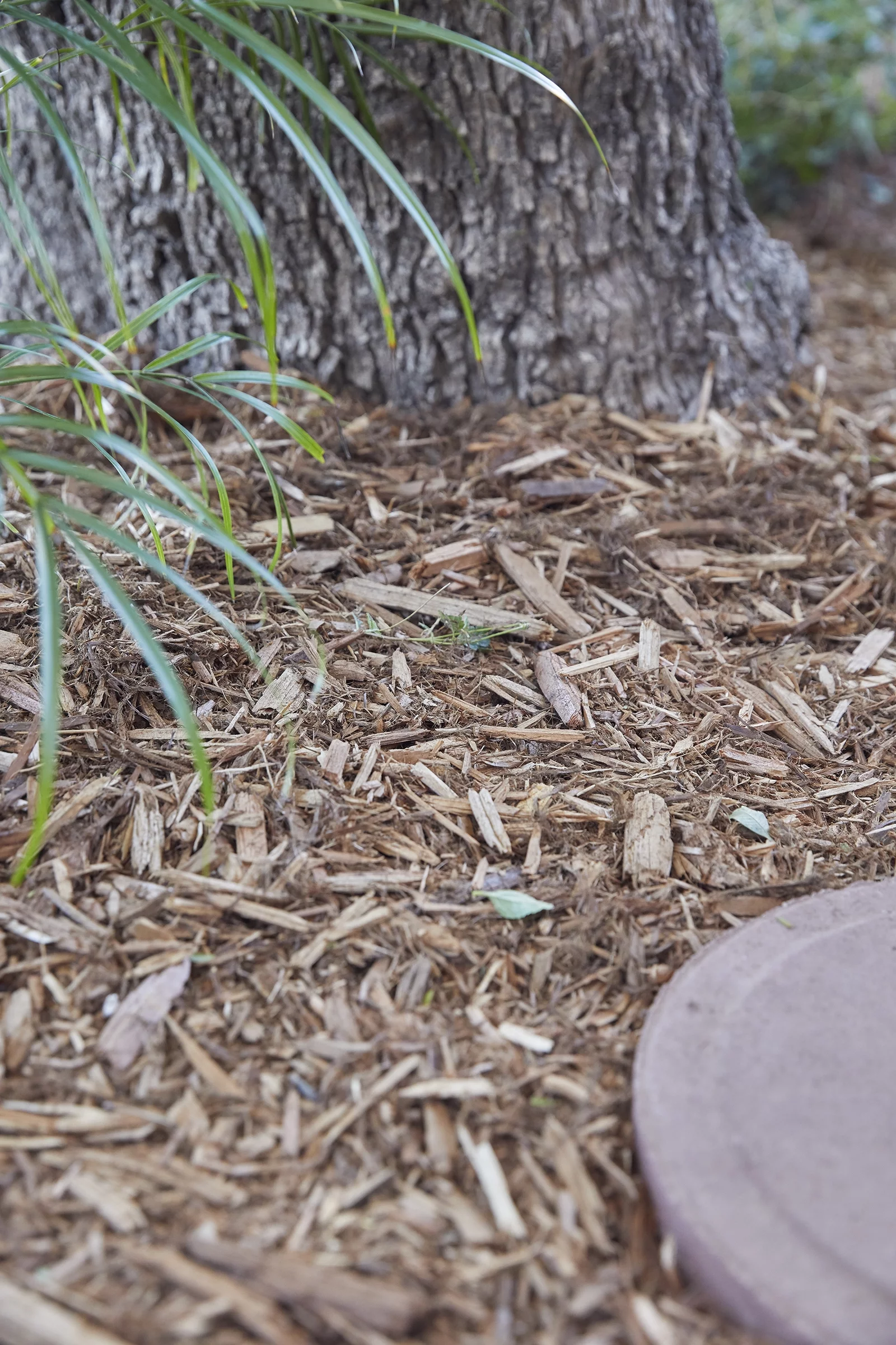 2CF American Countryside Brown Cypress Blend Mulch