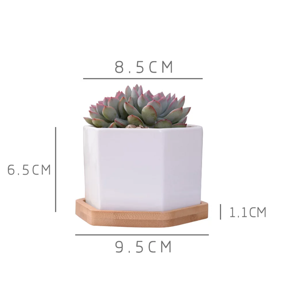 2 Sets Ceramic Hexagonal Succulent Containers Plant Pot Cactus Planter Pot with Bamboo Tray