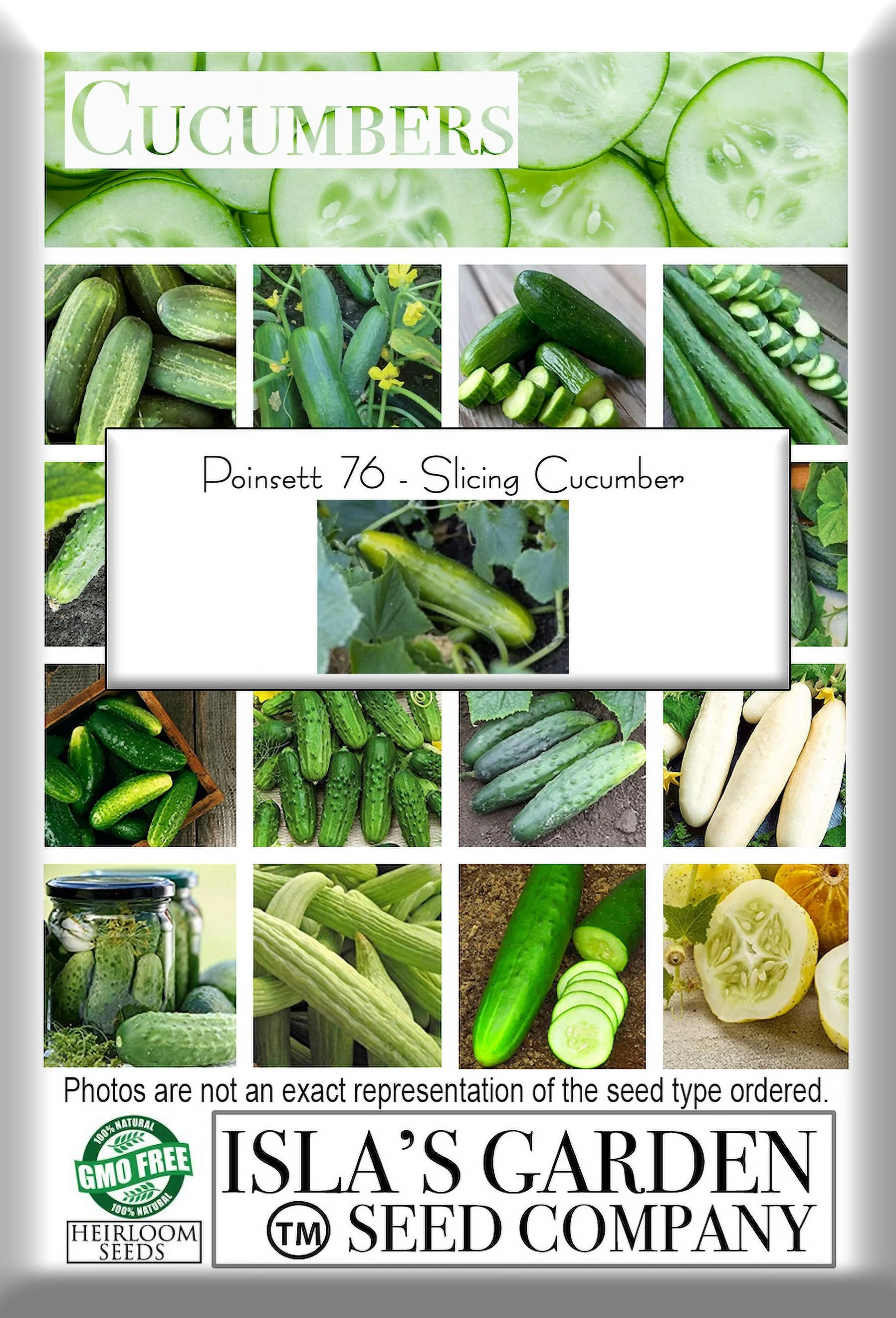 Poinsett 76 Slicing Cucumber, 50 Heirloom Seeds Per Packet, Non GMO Seeds