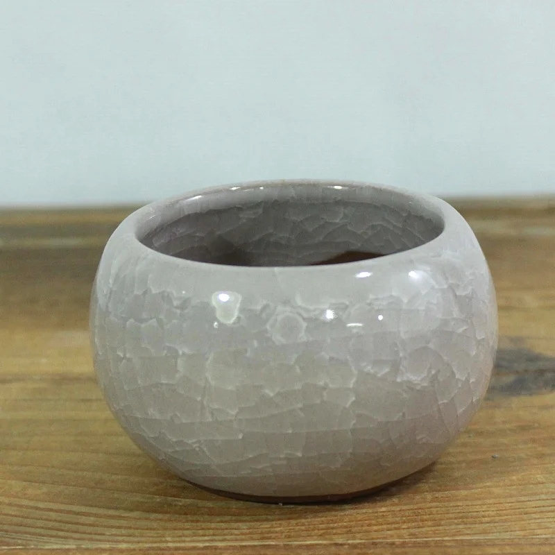 Ceramic Succulent Planter - Hand-Painted Succulent Pot - Desktop Plant Pot