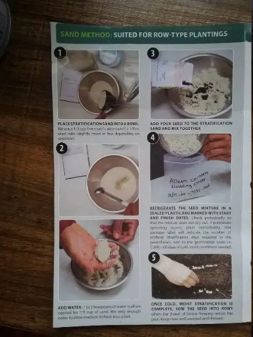 50 Perennial Prairie Smoke wildflower seeds Zone 2-9