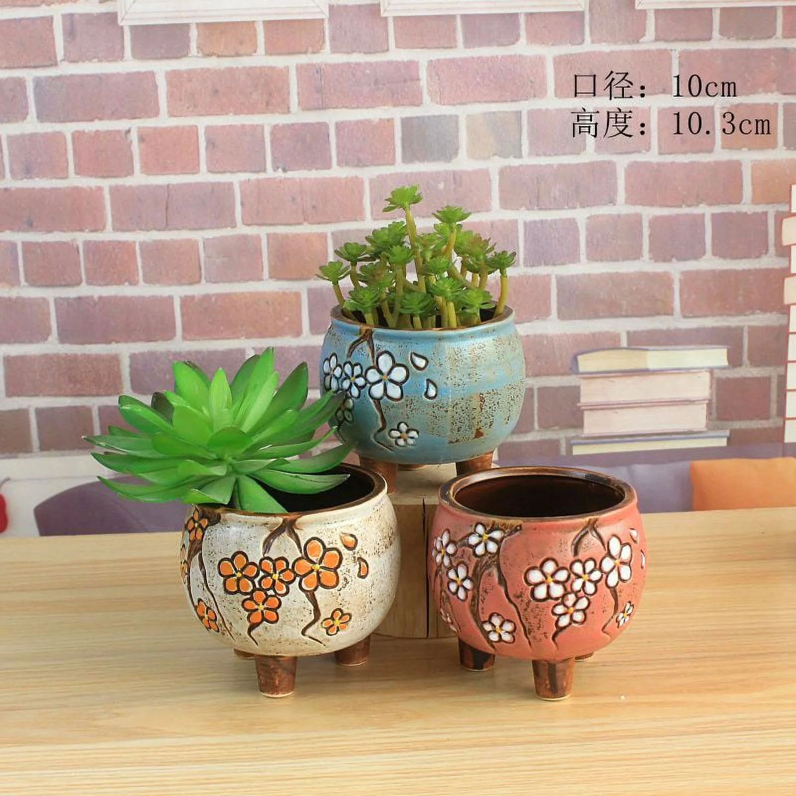 LivNxt Hand-Painted Ceramic Succulent Planter from Jingdezhen