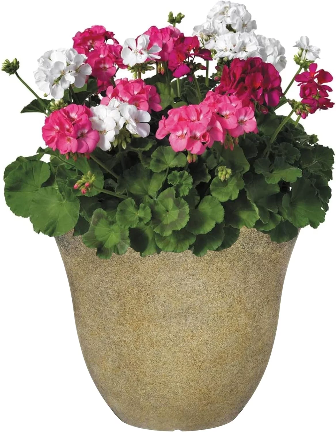 Honeysuckle Planter, Patio Pot, 13