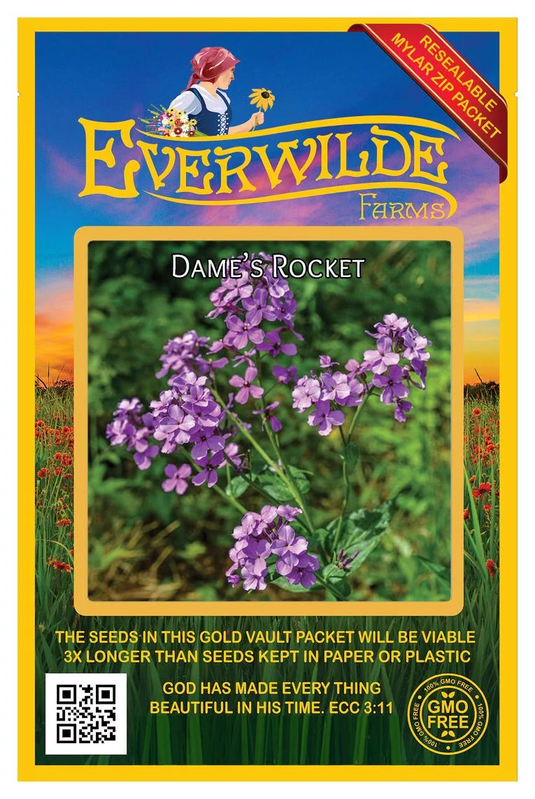 Everwilde Farms - 1000 Dames Rocket Garden Flower Seeds - Gold Vault Jumbo Bulk Seed Packet