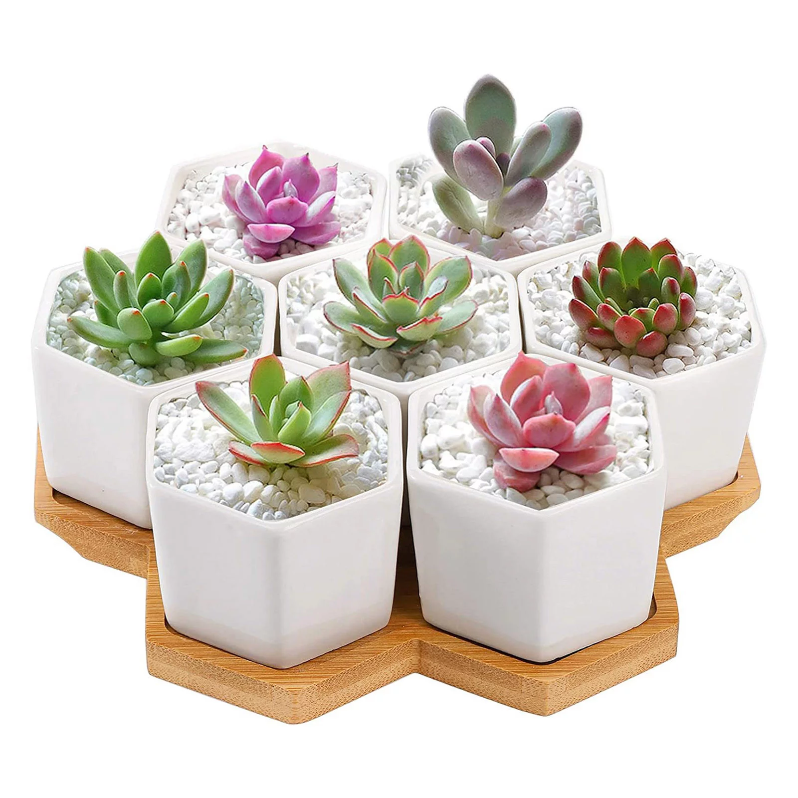 YHAIOGS Succulent Pots White Mini Ceramic Flower Planter Pot with Tray Plants Not included