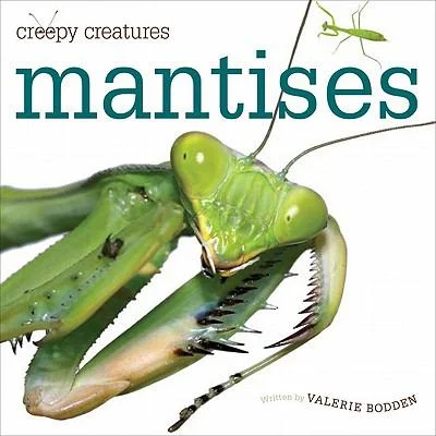 Pre-Owned Creepy Creatures: Mantises (Paperback) 0898125677