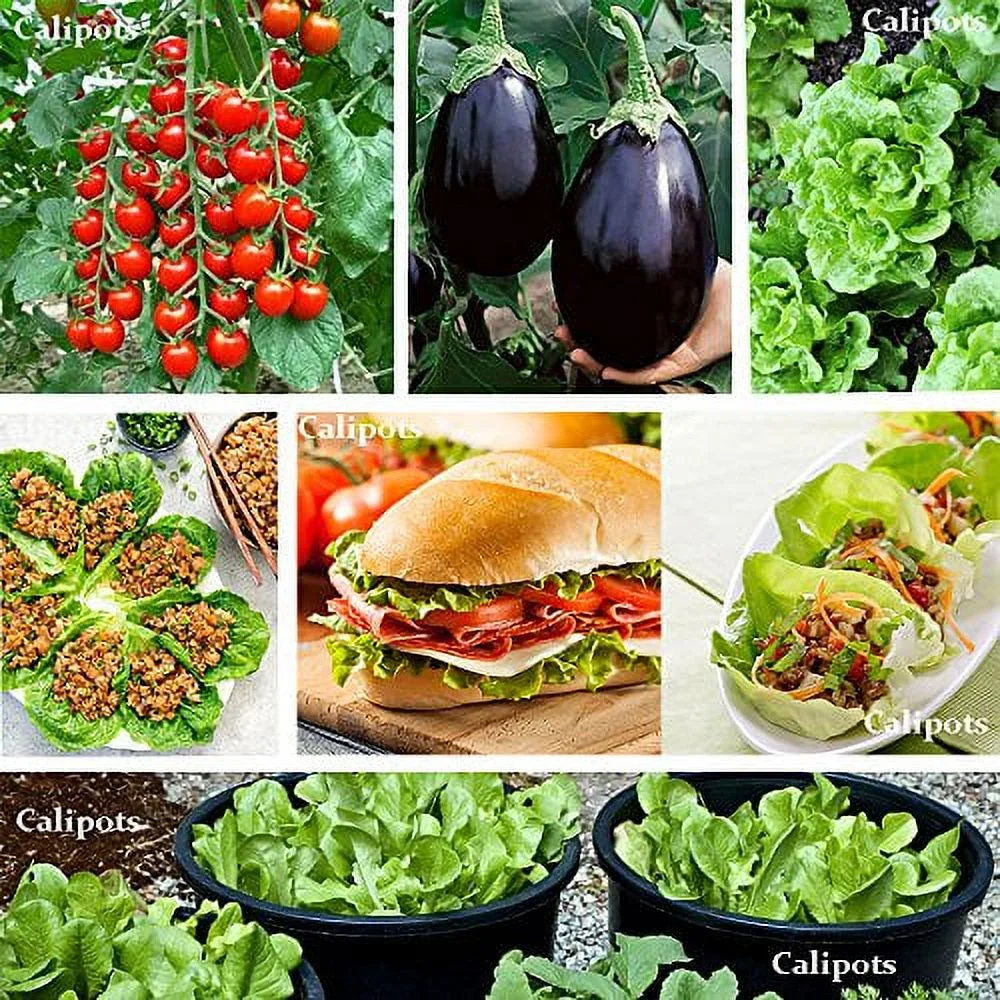 Calipots 5-Pack 10 Gallon Premium Black Plastic Nursery Plant Container Garden Planter Pots (10 Gallon)