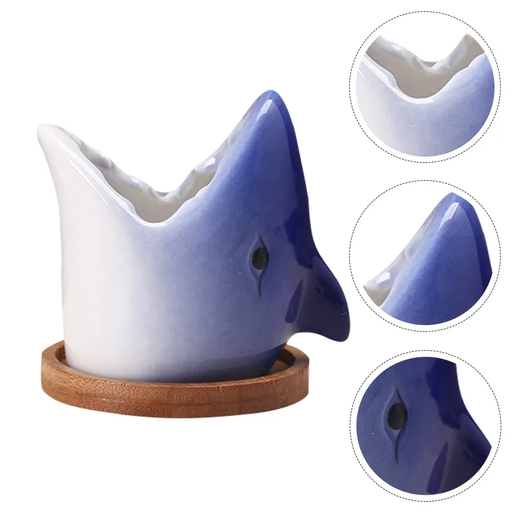 Cartoon Succulent Plant Pots Gardening Flowerpot Unique Ceramic Planter