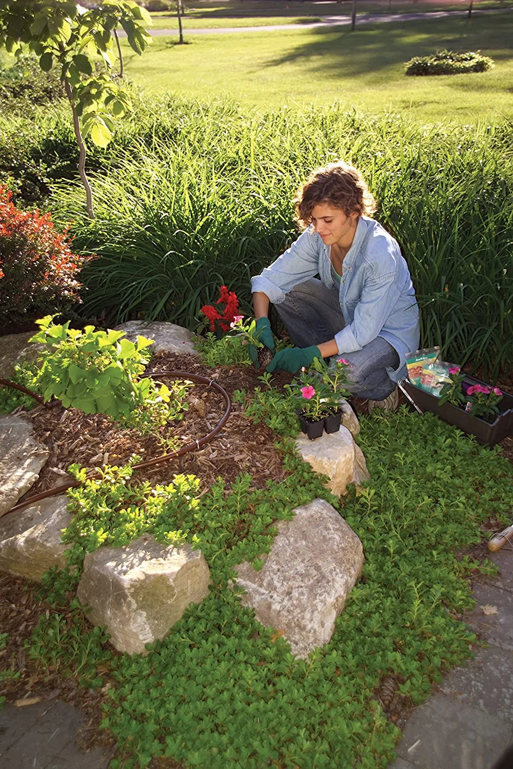 T63-100 Drip Irrigation 1/2" (0.634" OD) Blank Distribution Tubing  100' Roll  Black