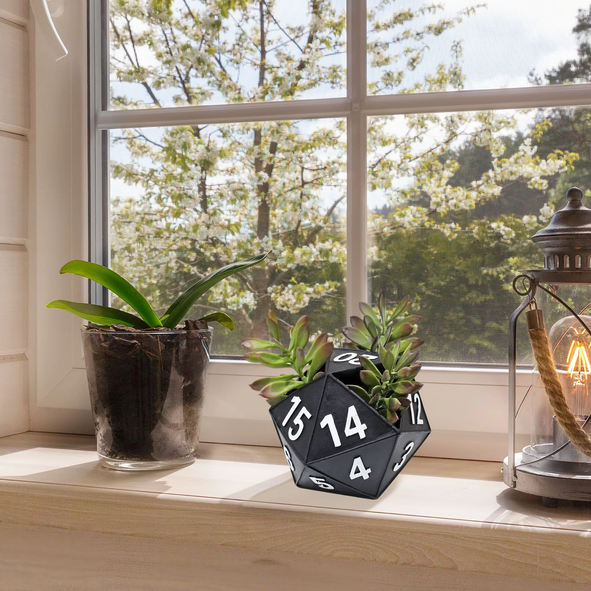 Esterno 20-Sided Dice Planter Pot; D20 Shaped Gardening Container