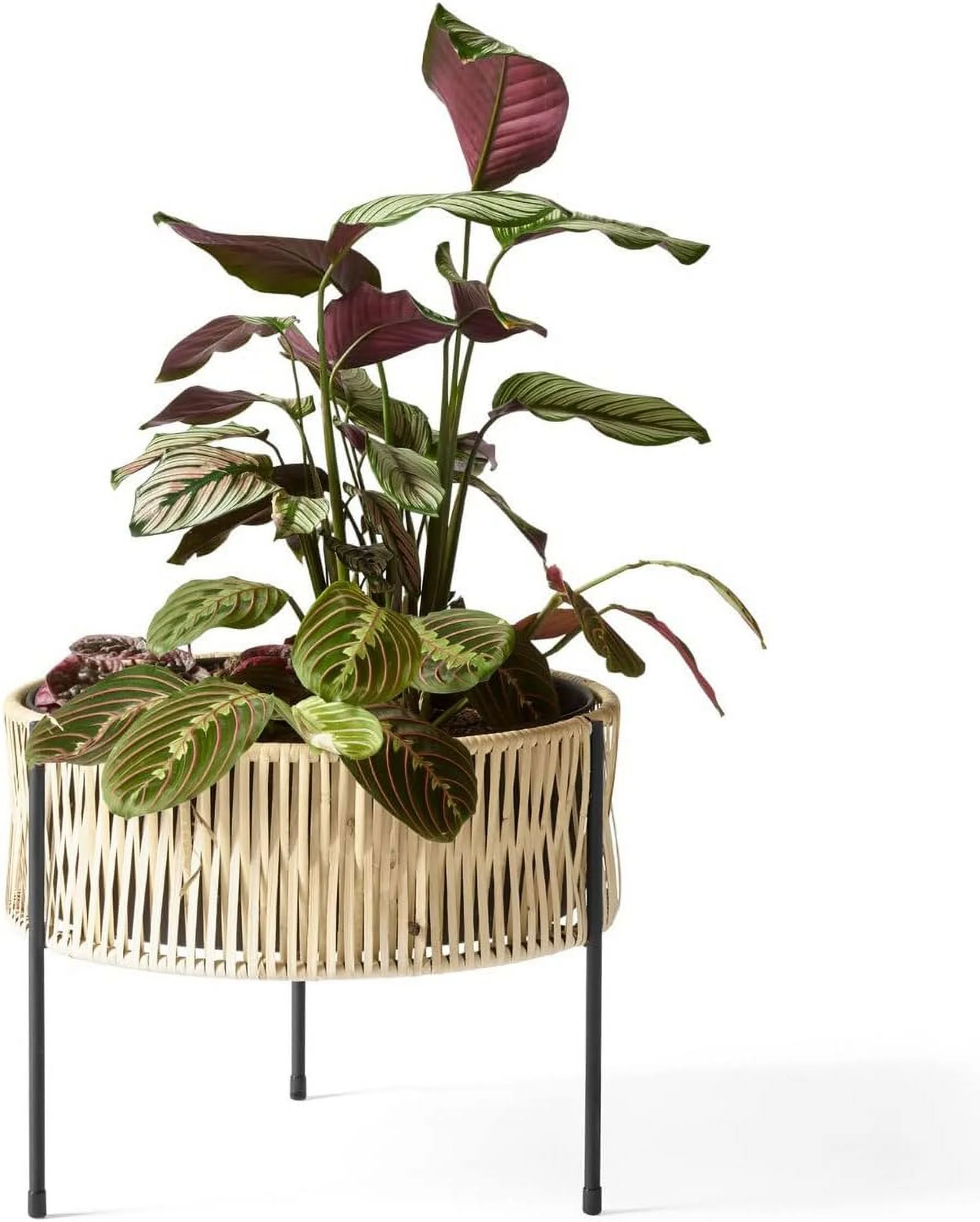 CXIAN Umanoff 32.5 Plant Pot, Beige H x Diameter 32.5 x 41 cm Steel Frame Black Powder-Coated