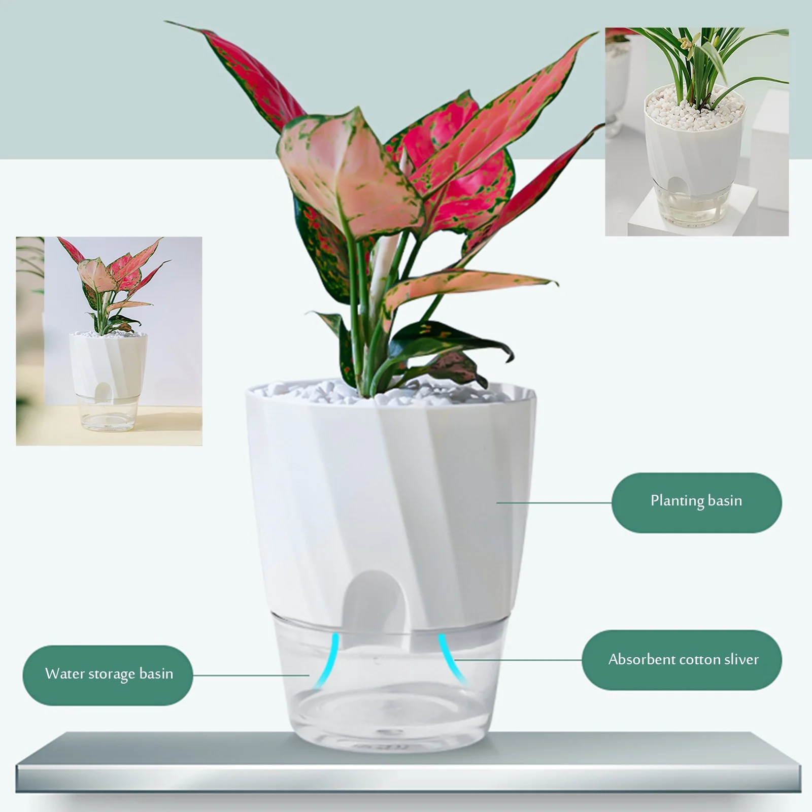 LHWEN Transparent Self Watering Flower Pot Indoor Plants Succulents Herbs Durable Pp Resin Transparent Design Easy To Observe Water Level Square Flower Pot For Home Office Indoor And Outdoor Use