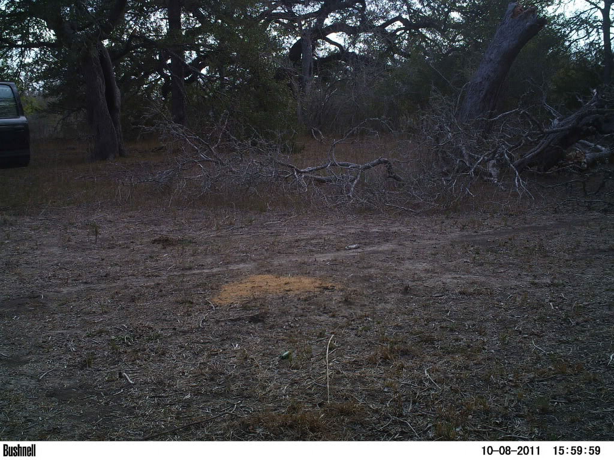 Wildgame Innovations Acorn Rage Deer Hunting Attractant Feed, 16 Lb.