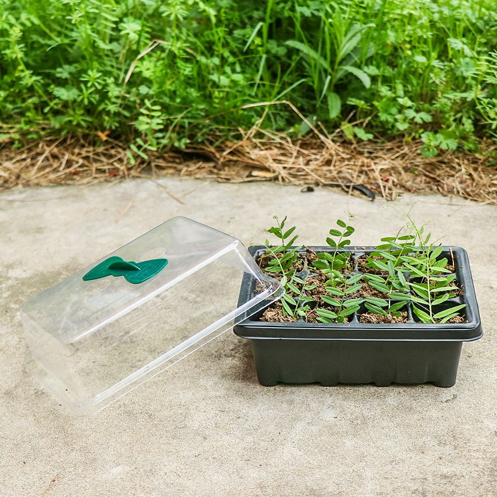 2PCS Greenhouse Plastic Lids Sprout Plate Office Nursery Pots Germination Box Grow Base Planting Tray 12 HOLES