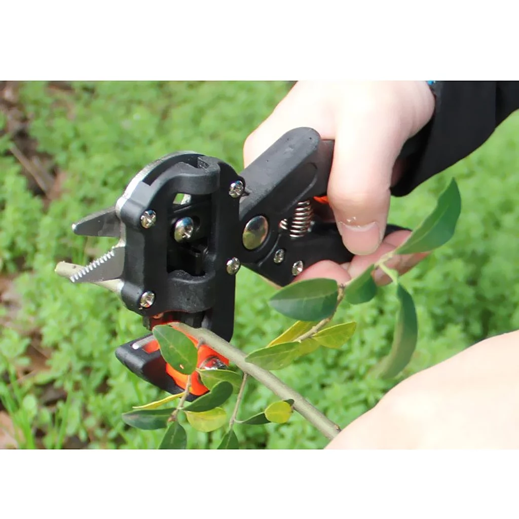 Professional Graft Cutting Tool Pruning Tree And Tools