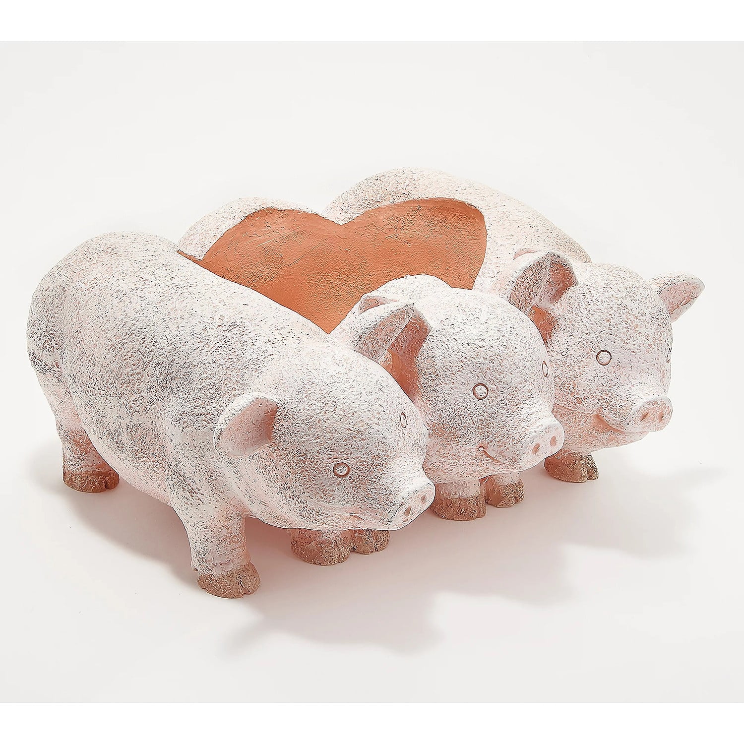 Evergreen PIG PLANTER