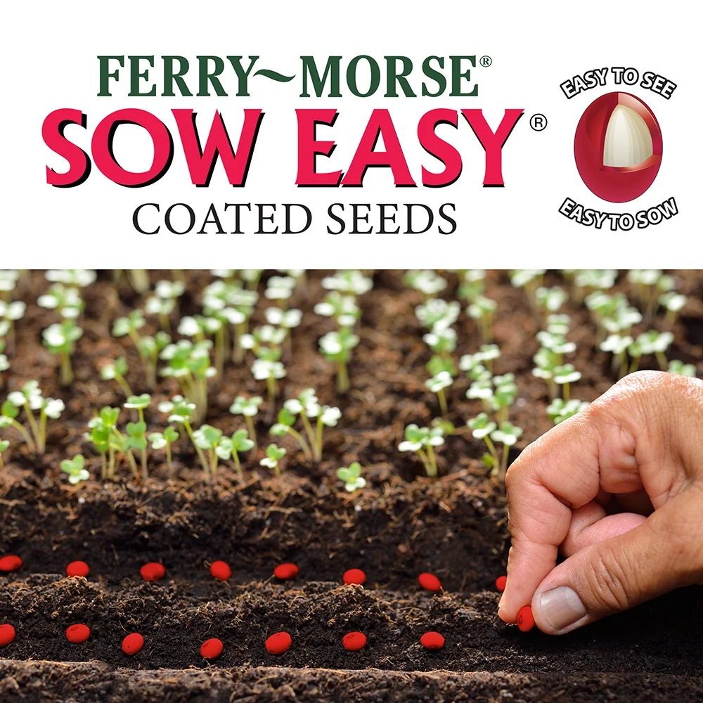 Ferry-Morse 35 Pieces Achillea Summer Pastels Perennial Flower Seeds Full Sun