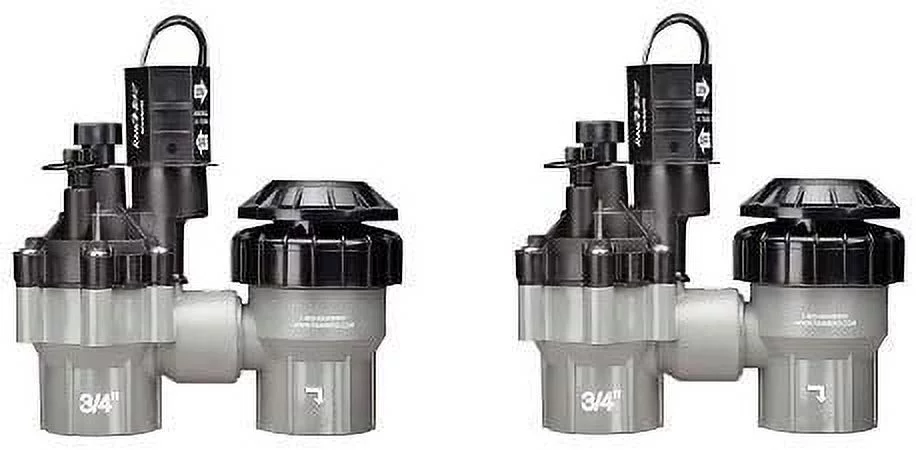 RAIN Bird DASASVF075 Professional Grade Anti-Siphon Valve with Flow Control, 3/4